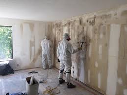 Asbestos and Lead Testing During Mold Inspection in Forest Heights, MD